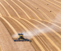 Agriculture Protein Pulse