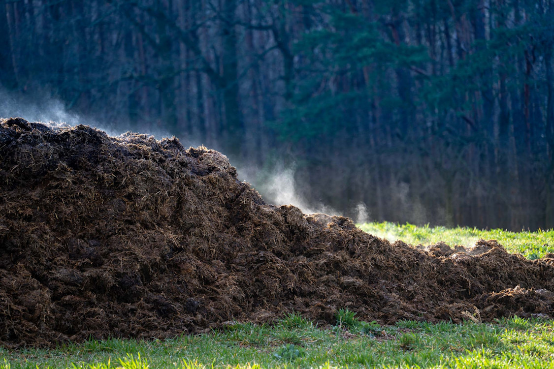 Manure waste