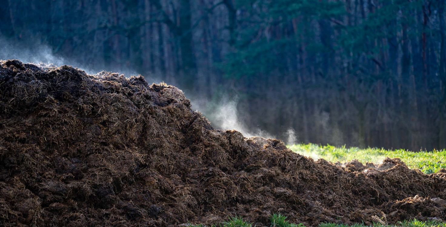 Manure waste