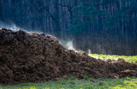 Manure waste