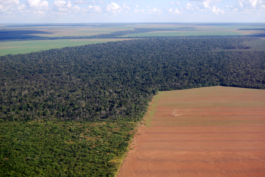 Deforestation-1-1.jpg