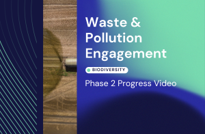 Waste & Pollution Phase 2 Progress Video