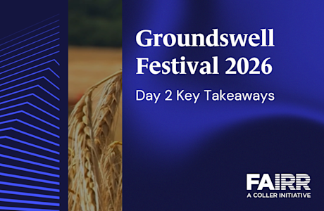 Groundswell Day 2 key takeaways thumbnail