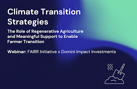 Domini Webinar Thumbnail