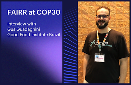 FAIRR x Gus Guadagnini