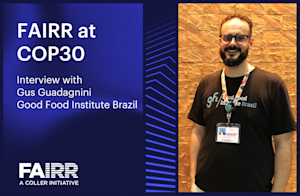 FAIRR x Gus Guadagnini