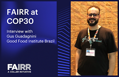 FAIRR x Gus Guadagnini