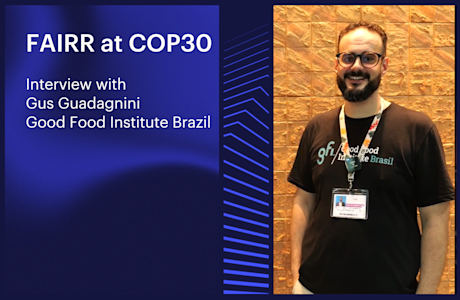 FAIRR x Gus Guadagnini