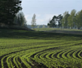 FAIRR At Forestry and Agriculture Investment Summit