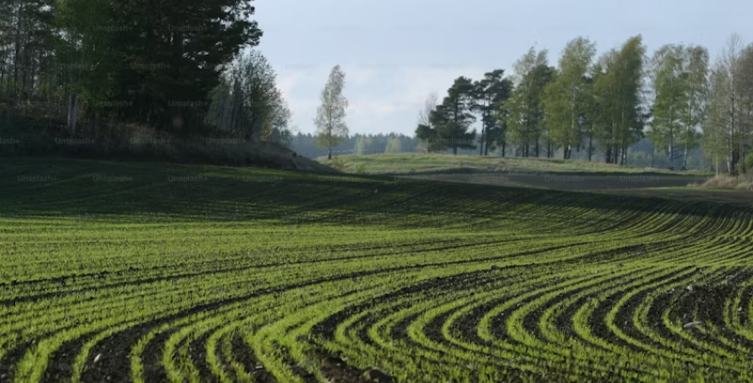 FAIRR At Forestry and Agriculture Investment Summit