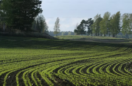 FAIRR At Forestry and Agriculture Investment Summit