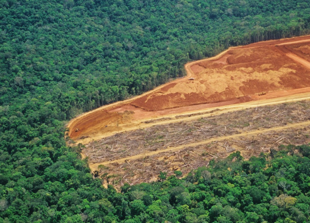 iStock-123252122-Amazon-deforestation.jpg