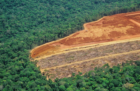 iStock-123252122-Amazon-deforestation.jpg