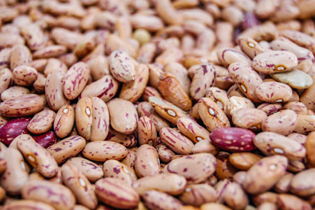 Pulses-2.jpg