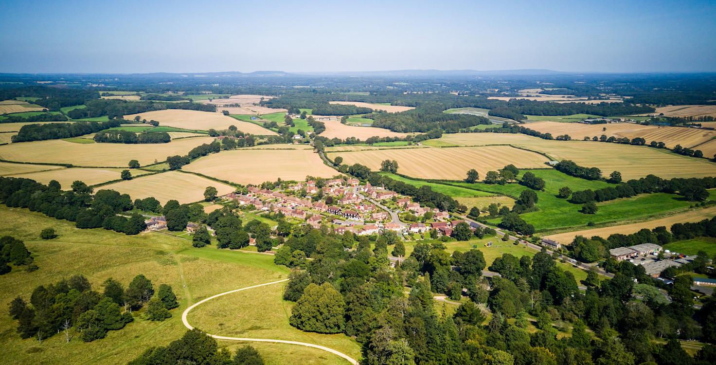 UK biodiversity