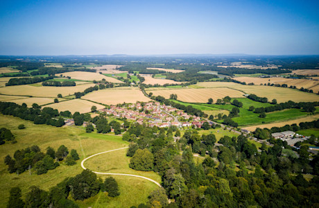 UK biodiversity