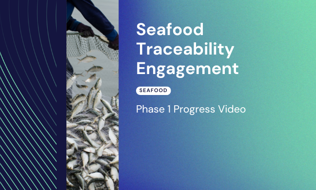 Phase 1 | Seafood Traceability Engagement Progress Video | FAIRR