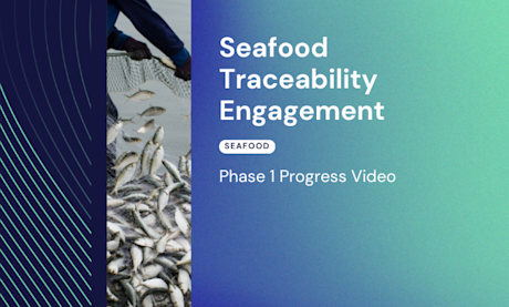 Seafood Traceability