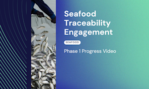 Seafood Traceability