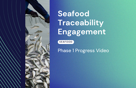 Seafood Traceability