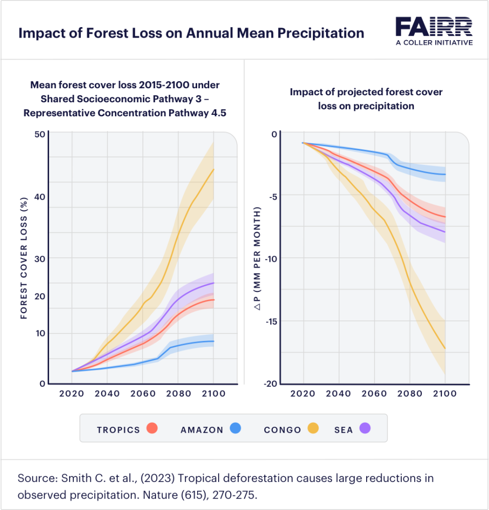 FAIRR-Impact of Forest Loss on Annual Mean Precipitation