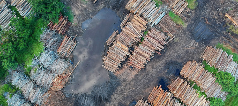 FAIRR Initiative | A Global Network of Investors Addressing ESG Issues ...