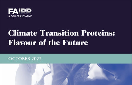 Climate Transition Proteins Report