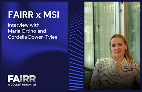 MSI Interviews Video Thumbnail