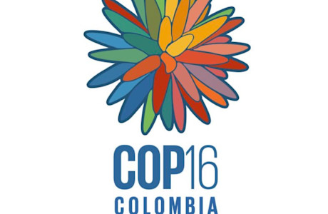COP16 Logo