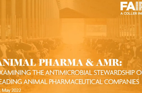 Animal Pharmaceuticals Engagement Launch Webinar