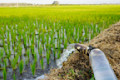 iStock-1278258217