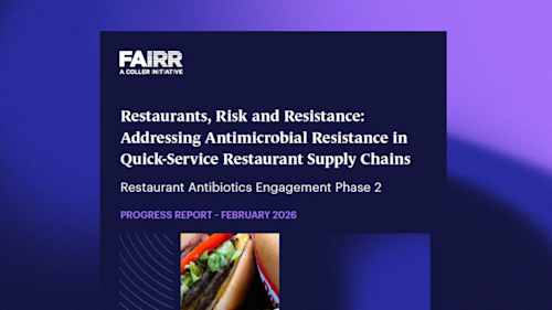 RAB Phase 2 Progress Report website banner (1).png