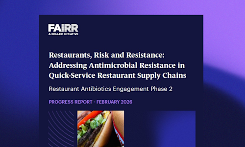 RAB Phase 2 Progress Report website banner (1).png