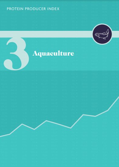 Aquaculture-Chapter-3 Report