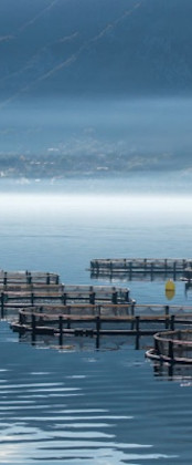 Theme-Header-Image-3