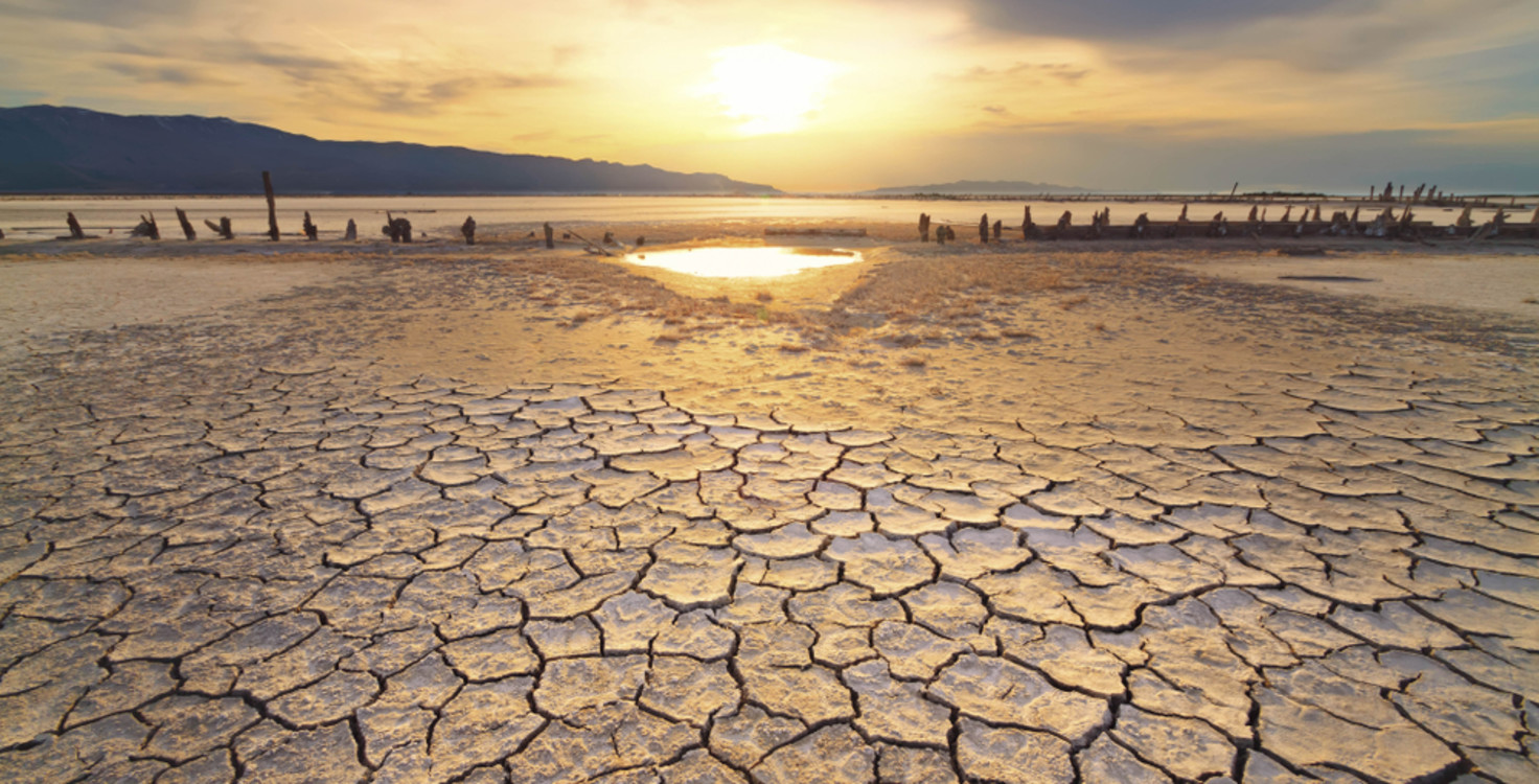 shutterstock 1156158103