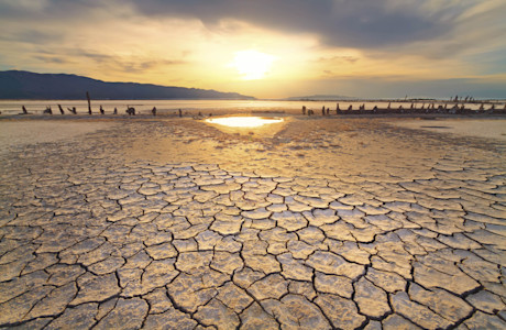 shutterstock 1156158103