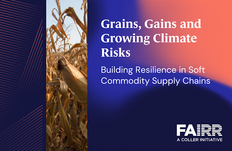 Grains, Gains and Growing Climate Risks: Building Resilience in Soft ...