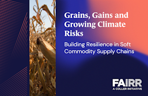 Grains, Gains and Growing Climate Risks Findings Video Thumbnail