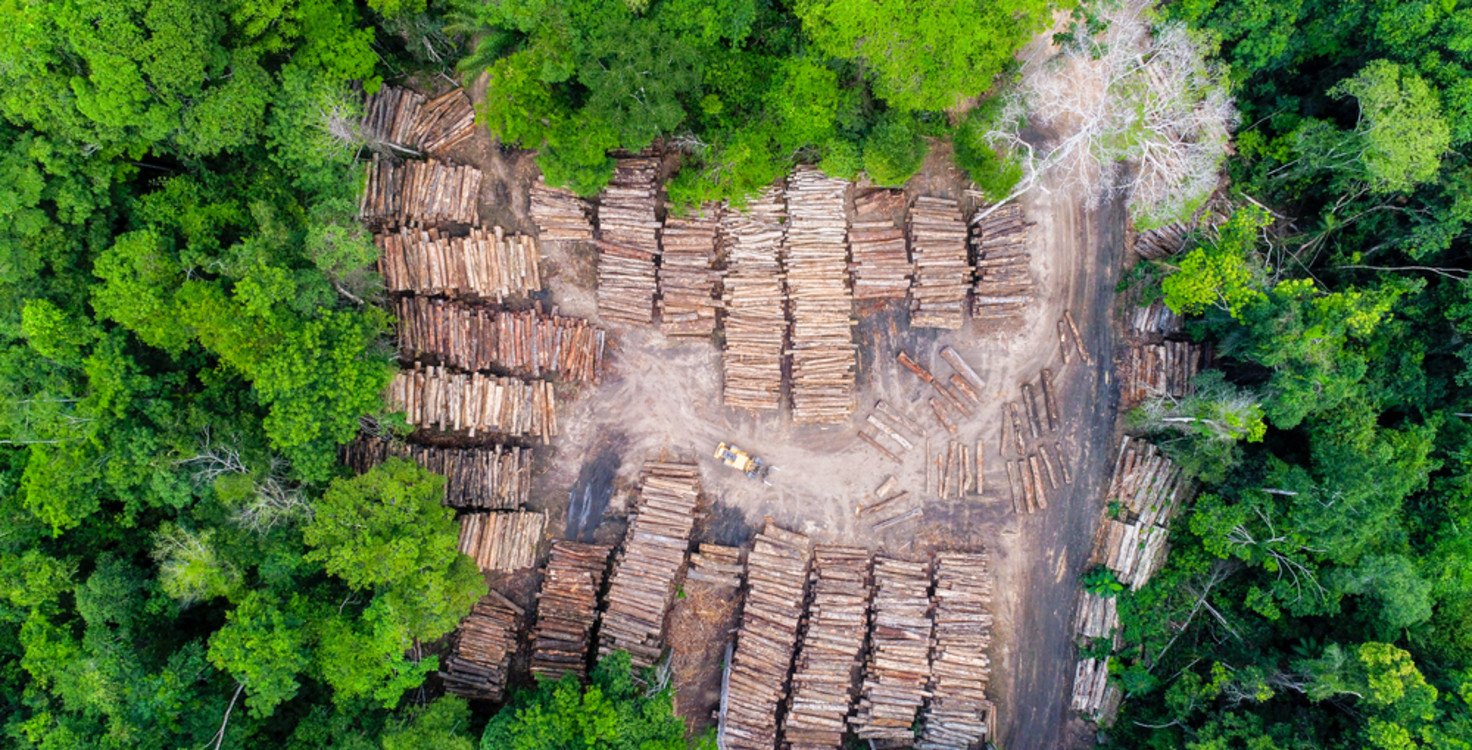 shutterstock 1969556476