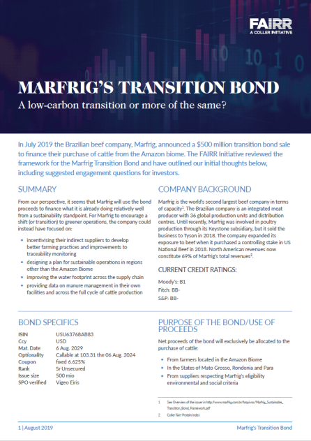 Marfrig-transition-bond Report