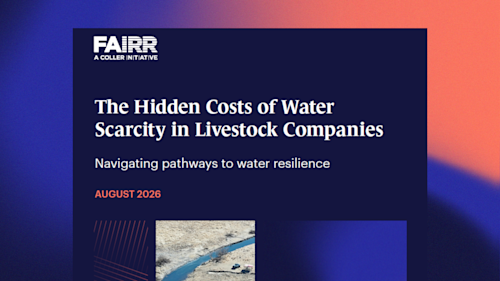 Water risk report thumbnail