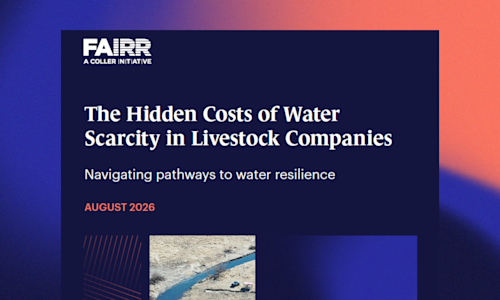 Water risk report thumbnail