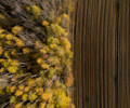 shutterstock 1851049120