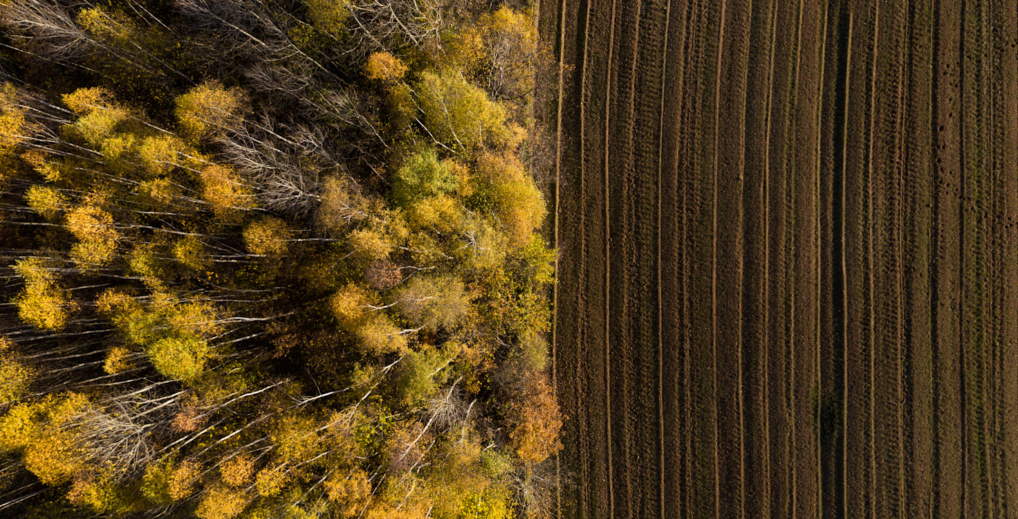 shutterstock 1851049120