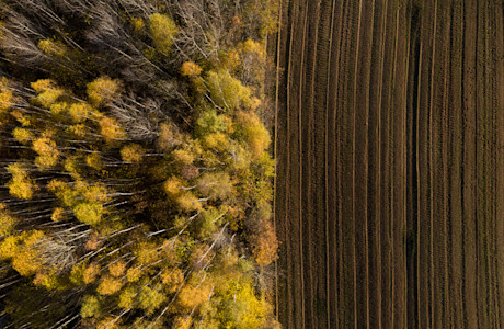 shutterstock 1851049120