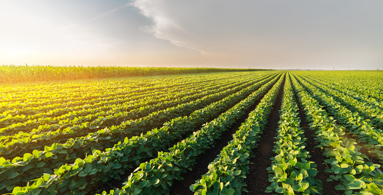 shutterstock 666615289