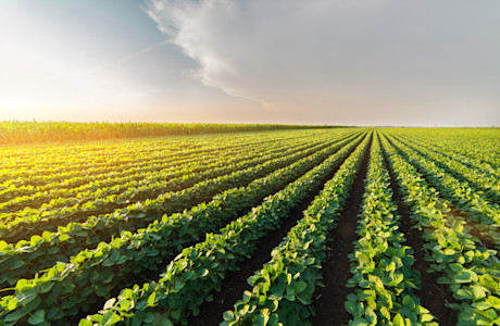 shutterstock 666615289