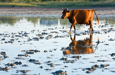 shutterstock 35831638