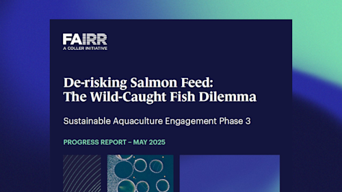 Sustainable Aquaculture Phase 3 Progress Report Banner with Theme